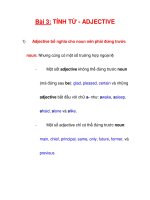 Bài 3: TÍNH TỪ - ADJECTIVE potx
