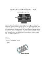 ĐỘNG CƠ KHÔNG ĐỒNG BỘ 1 PHA pps