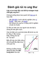 Đánh giá rủi ro ung thư ppsx