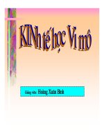 Bài giảng : Kinh tế vi mô part 1 pps