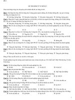 Đề thi kinh tế vĩ mô - phần 1 pptx