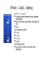 Phân loại mạng Point to point pps