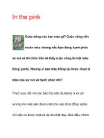 In the pink Cuộc sống của bạn màu gì? doc