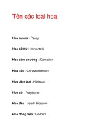 Tên các loài hoa pptx