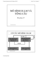 Bài Giảng Kinh tế Vĩ mô Chương 7 - Truong Quang Hung pot