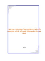 Luận văn Ngân hàng Nông nghiệp và Phát triển nông thôn với các biện pháp phòng ngừa rủi ro tín dụng