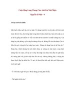 Cuộc Sống Lang Thang Của Anh Em Nhà Nhện (Nguyễn Sĩ Mai) – 4 doc