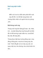 Nuôi ong mật ở miền núi docx