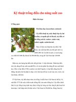 Kỹ thuật trồng điều cho năng suất cao docx