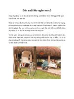 Đến suối Mơ ngắm xe cổ pps