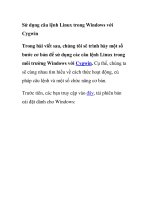 Sử dụng câu lệnh Linux trong Windows với Cygwin potx