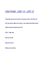 VĂN PHẠM - UNIT 14 - LỚP 12 doc