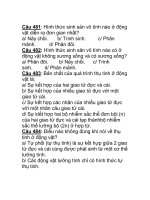 Câu 481: Hình thức sinh sản vô tính nào ở động vật pot