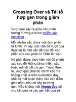 Crossing Over và Tái tổ hợp gen trong giảm phân Vượt qua pps
