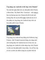 Ứng dụng của Android có thể chạy trên Ubuntu? pot