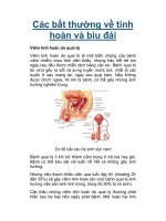 Các bất thường về tinh hoàn và bìu đái pps