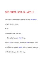 VĂN PHẠM - UNIT 10 - LỚP 11 doc