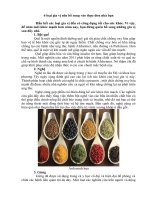 6 loại gia vị nên bổ sung vào thức ăn nhà bạn