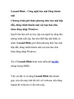 Luxand Blink – Công nghệ bảo mật bằng khuôn mặt doc