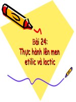 Bài 24-thuc hanh len men doc