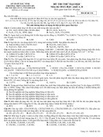 Đề thi thử đại học môn Hóa học trường chuyên Bắc Ninh năm 2010 doc