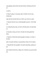 điều trị đau thần kinh tọa theo YHCT part3 docx