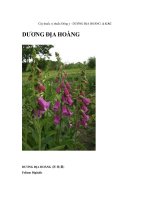 Cây thuốc vị thuốc Đông y - DƯƠNG ĐỊA HOÀNG & GẤC ppt