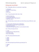 Đề thi tuyển dụng tại Ngân hàng Đại Á pdf