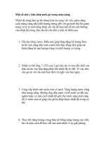 Một số chú ý khi chăn nuôi gà trong mùa nóng ppt