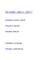 TỪ VỰNG - UNIT 6 - LỚP 11 pot