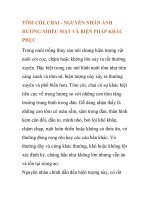 TÔM CÒI, CHAI - NGUYÊN NHÂN ẢNH HƯỞNG NHIỀU MẶT VÀ BIỆN PHÁP KHẮC PHỤC ppt