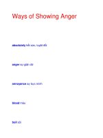 Ways of Showing Anger pptx