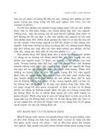 Chiến lược cạnh tranh part 7 potx
