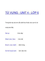 TỪ VỰNG - UNIT 4 - LỚP 6 ppsx