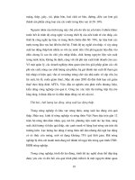 Luận văn: Cạnh tranh kinh tế trong hội nhập phần 4 pdf