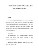 PHỤC HỒI CHỨC NĂNG BÀN CHÂN MẤT MÔ MỀM VÙNG GÓT pptx