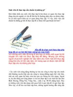 Sinh viên đi thực tập cần chuẩn bị những gì ppsx