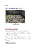 NUÔI ẾCH TRONG BỂ XI MĂNG doc