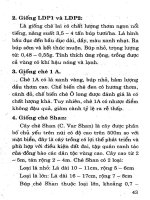 Kỹ Thuật Trồng Cây Đặc Sản Hiệu Quả Kinh Tế Cao - Nguyễn Đình Thiêm phần 7 ppsx