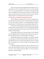 Quá trình hình thành chế đội tưới nhỏ giọt part4 potx