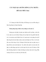 CẮT THẬN QUA ĐƯỜNG HÔNG LƯNG TRƯỚC – BÊN SAU PHÚC MẠC pps