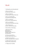 cao dao Vần M potx