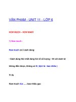 VĂN PHẠM - UNIT 11 - LỚP 6 potx