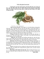 thức uống giảm đau dạ dầy