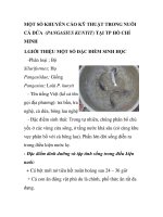 MỘT SỐ KHUYẾN CÁO KỸ THUẬT TRONG NUÔI CÁ DỨA (PANGASIUS KUNYIT) TẠI TP HỒ CHÍ pptx