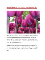 Hoa Valentine của chàng nói lên điều gì? docx