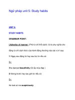 Ngữ pháp unit 5: Study habits docx
