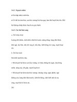 Quá trình hình thành hội chứng suy sinh dục nữ part5 pdf