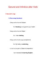 Gerund and Infinitive after Verb pdf