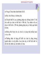 Kỹ thuật gia công polime phần 11 doc